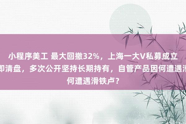 小程序美工 最大回撤32%，上海一大V私募成立9个月即清盘，多次公开坚持长期持有，自管产品因何遭遇滑铁卢？