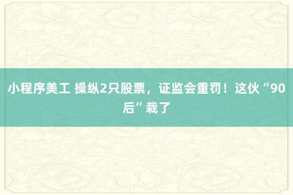 小程序美工 操纵2只股票，证监会重罚！这伙“90后”栽了