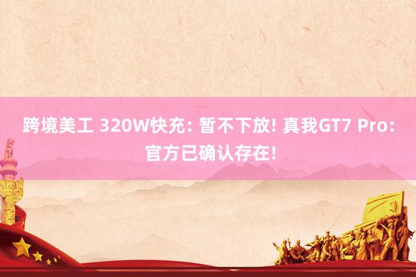 跨境美工 320W快充: 暂不下放! 真我GT7 Pro: 官方已确认存在!