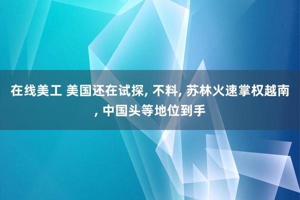 在线美工 美国还在试探, 不料, 苏林火速掌权越南, 中国头等地位到手