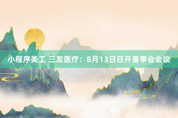 小程序美工 三友医疗：8月13日召开董事会会议