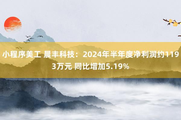 小程序美工 晨丰科技：2024年半年度净利润约1193万元 同比增加5.19%