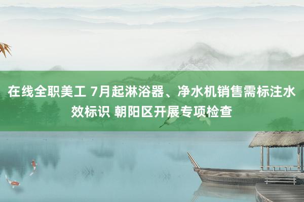 在线全职美工 7月起淋浴器、净水机销售需标注水效标识 朝阳区开展专项检查