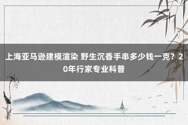 上海亚马逊建模渲染 野生沉香手串多少钱一克？20年行家专业科普