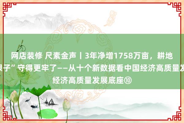 网店装修 尺素金声丨3年净增1758万亩，耕地这个“命根子”守得更牢了——从十个新数据看中国经济高质量发展底座⑩